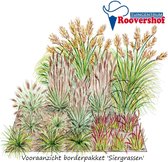 Borderpakket 'Siergrassen' - sterke, onderhoudsarme grassen - 17 planten - 3 m²
