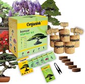 Organisk - XL Bonsai starters kit - 5 soorten premium zaden - 22 delige kweekset - Inclusief uitgebreide instructies - Binnen boompje kweken - DIY pakket - Kamerplanten - Geschenkset
