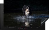 KitchenYeah® Inductie beschermer 90x52 cm - Hond in water op zwarte achtergrond - Kookplaataccessoires - Afdekplaat voor kookplaat - Inductiebeschermer - Inductiemat - Inductieplaat mat