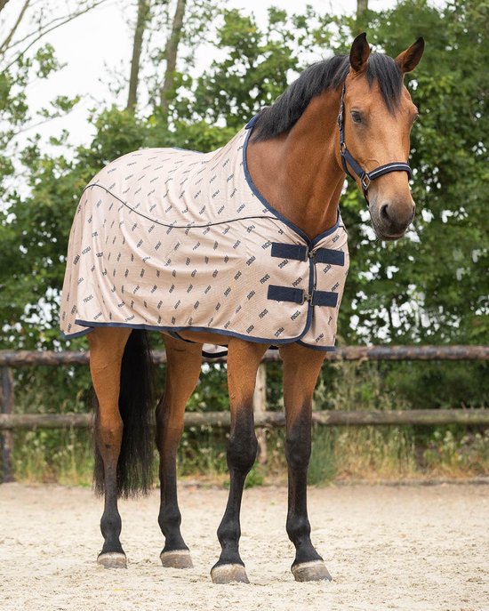 Bruin paard in beige vliegendeken met navy rand en 'FOCUS' logo. Frontaal zijaanzicht.