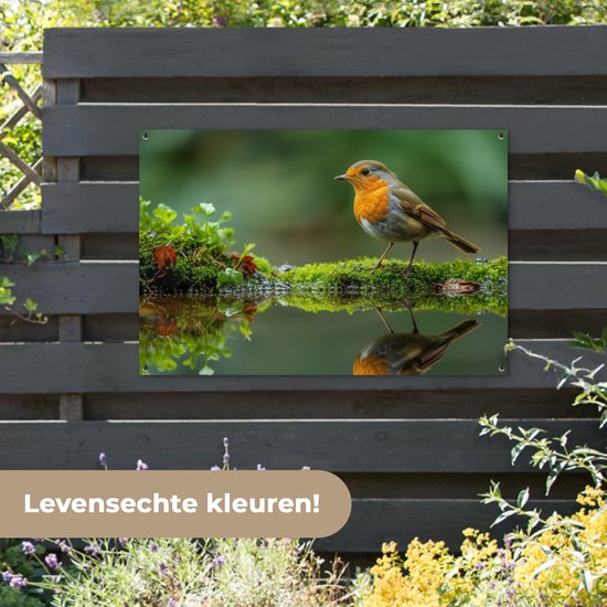 Tuinposter 120x80 cm - Tuindecoratie Roodborstje - Vogels - Natuur - Groen - Vogel - Poster voor in de tuin - Buiten decoratie - Schutting tuinschilderij - Tuindoek muurdecoratie - Wanddecoratie balkondoek