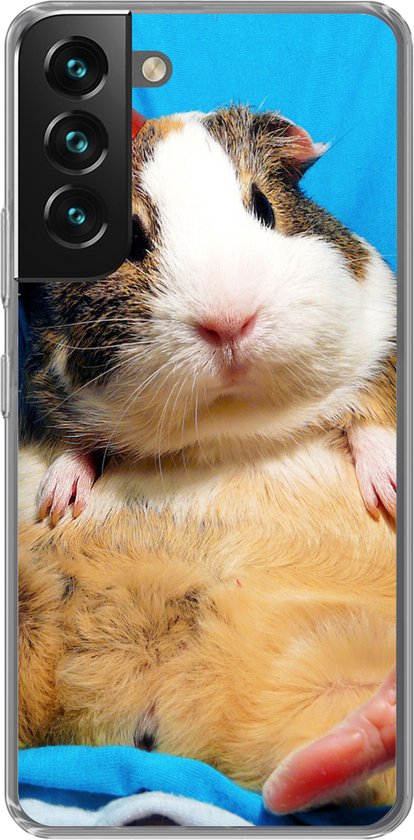 Telefoonhoesje Geschikt voor Samsung Galaxy S22 hoesje - Cavia - Grappig - Kroon - Kinderen - Jongens - Meisjes - Kindje - Siliconen Telefoonhoesje