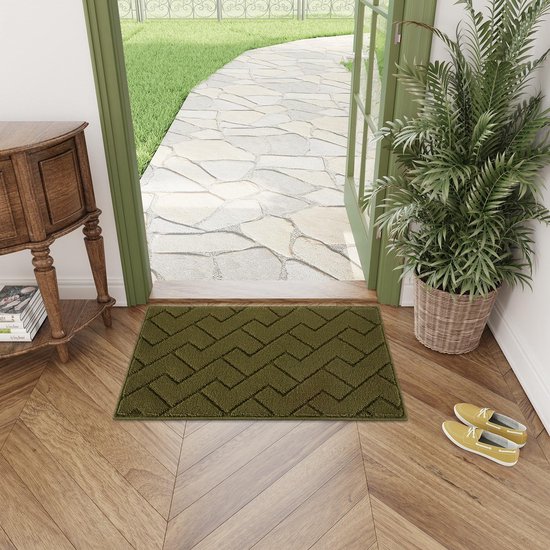 Paillasson pour intérieur et extérieur, lavable, entrée, intérieur, tapis anti-saleté, antidérapant, paillasson pour entrée, terrasse, hall, jardin, intérieur et extérieur (vert olive, 60 x 90 cm)