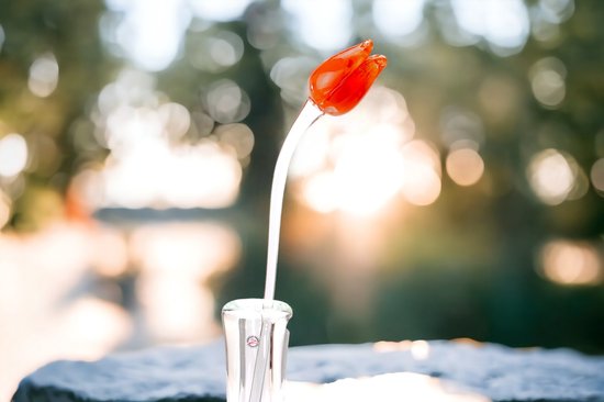 Bloem Glas Tulp Oranje | Glaskunst  | Bloemen En Fruit Van Glas | 1 Jaar Garantie