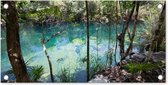 Tuinposter Meer in de bossen van Tulum Mexico - 60x30 cm - Tuindoek - Buitenposter