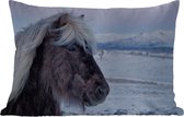 Buitenkussens - Tuin - Paard - Sneeuw - IJsland - 50x30 cm