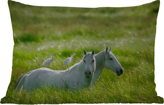 Buitenkussens - Tuin - Twee witte paarden met eenden op hun rug in het gras - 60x40 cm