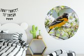 WallCircle - Cercle mural - Vogel - Fleurs - Couleurs - Aluminium - Dibond - ⌀ 140 cm - Intérieur et extérieur