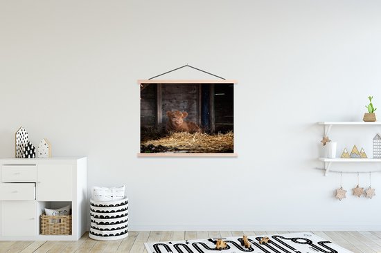 Jeune veau highlander écossais couché dans l'affiche de l'école de paille lattes plates vierges 150x113 cm - Tirage photo sur poster textielposter (décoration murale salon / chambre)