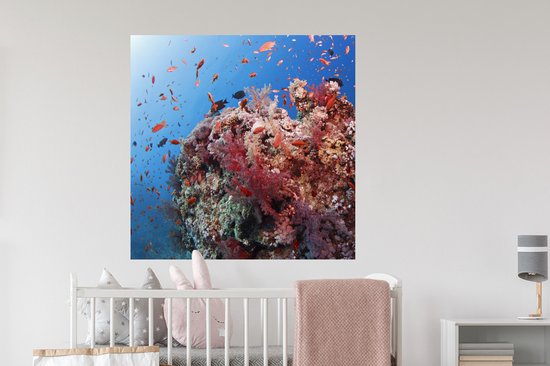 Sticker Muursticker Récif de corail - Corail rouge inocean - 100x100 cm - film adhésif autocollant - sticker mural repositionnable XXL /