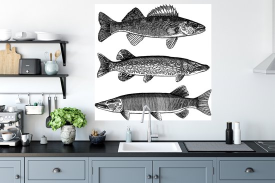 Stickers Stickers muraux - trois poissons - 100x100 cm - Feuille adhésive XXL