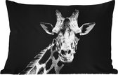 Buitenkussens - Tuin - Giraffe - Wilde dieren - Zwart - Wit - Portret - 50x30 cm