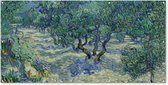 Schuttingposter De Olijfgaard - Vincent van Gogh - 200x100 cm - Tuindoek