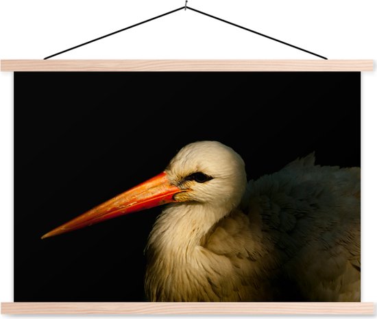 Portrait photo oiseau sur fond noir affiche textielposter lattes vierges 60x40 cm - Tirage photo sur plaque école (décoration murale salon / chambre)