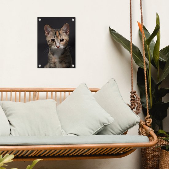 Tuinposter 30x40 cm - Tuindecoratie Kat - Zwart - Portret - Poster voor in de tuin - Buiten decoratie - Schutting tuinschilderij - Tuindoek muurdecoratie - Wanddecoratie balkondoek