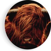 Artaza Forex Cercle mural Tête de vache Highlander écossais - Couleur - 70x70 cm - Cercle mural - Peinture ronde - Cercle de Décoration murale - Décoration murale