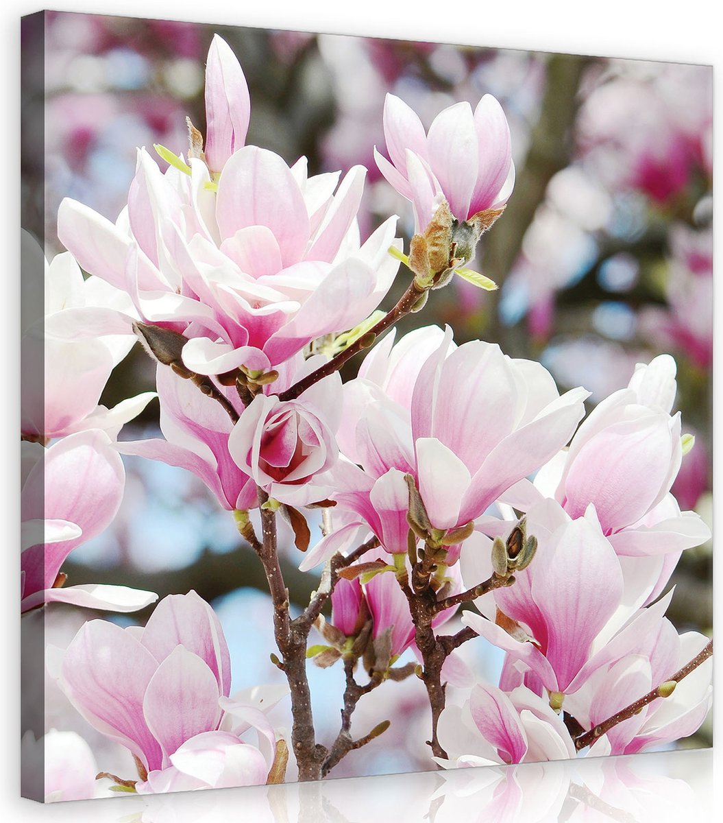Canvas Schilderij - Bloeiende bloemen - Planten - Natuur - Roze - Wit - Boom - Schilderij Woonkamer - Schilderijen op canvas - Inclusief Frame - 50x70cm (LxB)