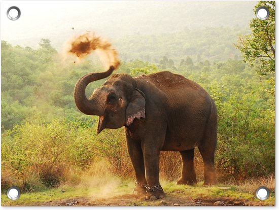 Tuin decoratie Olifant - Dieren - Bos - Bomen - 40x30 cm - Tuindoek - Buitenposter