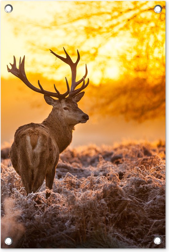 Tuindecoratie Hert - Dieren - Zonsondergang - Winter - Heide - Natuur - 40x60 cm - Tuinposter - Tuindoek - Buitenposter