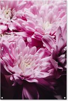 Tuinposter - Bloemen - Planten - Roze - Natuur - Abstract - Poster voor buiten - Schuttingposter - Abstract - 80x120 cm - Tuindoek - Buitenposter