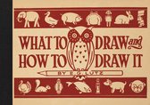 What To Draw & How To Draw It