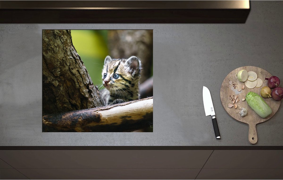 Inductieplaat Beschermer - Boomkat Kitten in de Bomen - 59x55 cm - 2 mm Dik - Inductie Beschermer - Bescherming Inductiekookplaat - Kookplaat Beschermer van Zwart Vinyl