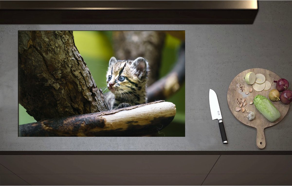 Inductieplaat Beschermer - Boomkat Kitten in de Bomen - 85x55 cm - 2 mm Dik - Inductie Beschermer - Bescherming Inductiekookplaat - Kookplaat Beschermer van Wit Vinyl