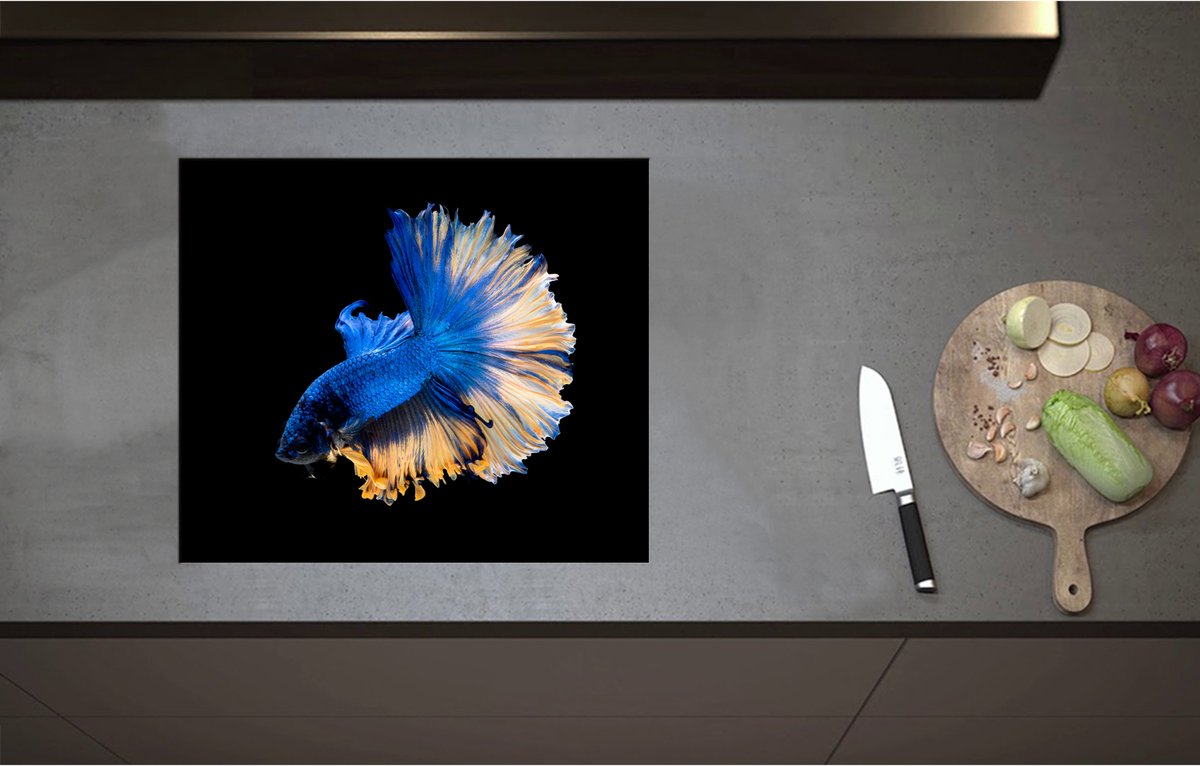 Inductieplaat Beschermer - Blauwe Siamese Kempvis van de Zijkant tegen Zwarte Achtergrond - 59x51 cm - 2 mm Dik - Inductie Beschermer - Bescherming Inductiekookplaat - Kookplaat Beschermer van Zwart Vinyl