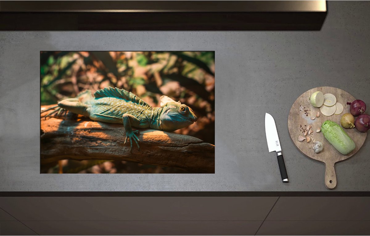 Inductieplaat Beschermer - Blauw-Groene Kameleon Liggend op Houten Boomstam - 71x50 cm - 2 mm Dik - Inductie Beschermer - Bescherming Inductiekookplaat - Kookplaat Beschermer van Zwart Vinyl