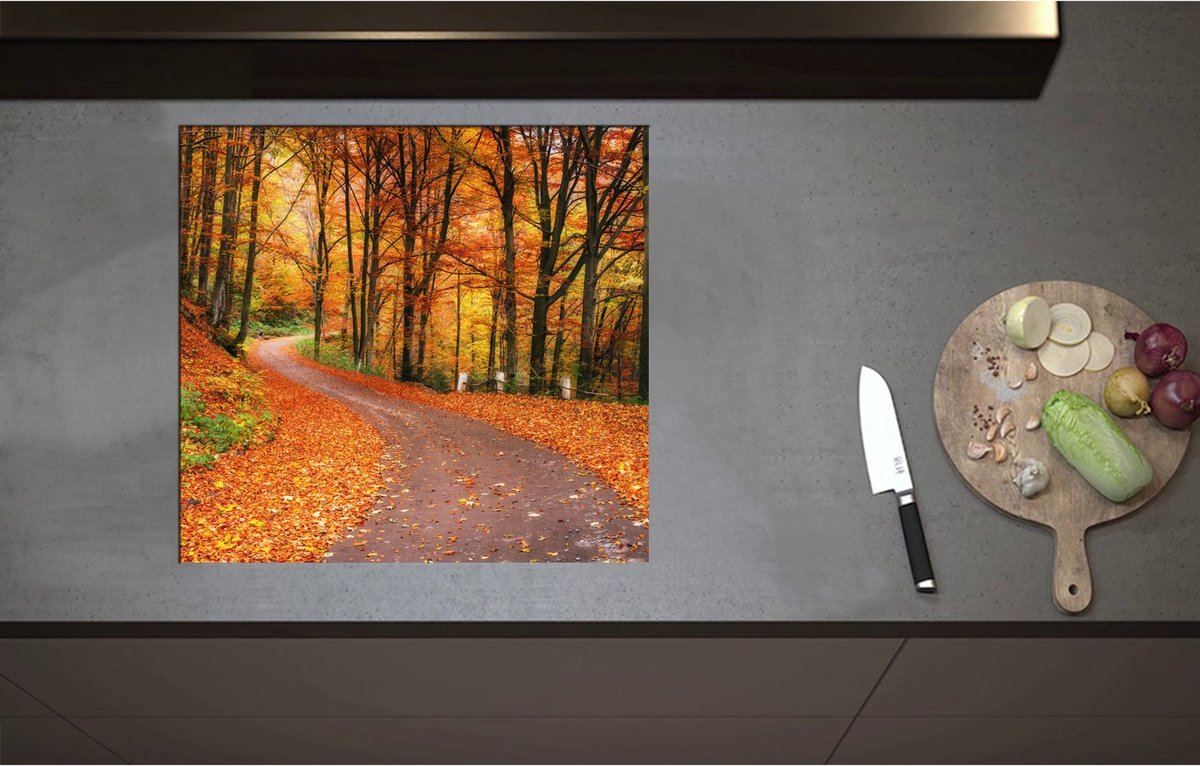 Inductieplaat Beschermer - Bospad door Herfstbos vol met Herfstkleuren - 59x55 cm - 2 mm Dik - Inductie Beschermer - Bescherming Inductiekookplaat - Kookplaat Beschermer van Zwart Vinyl