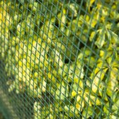 Maille de clôture de jardin Nature 20x20 mm 1x3 m vert 6050205