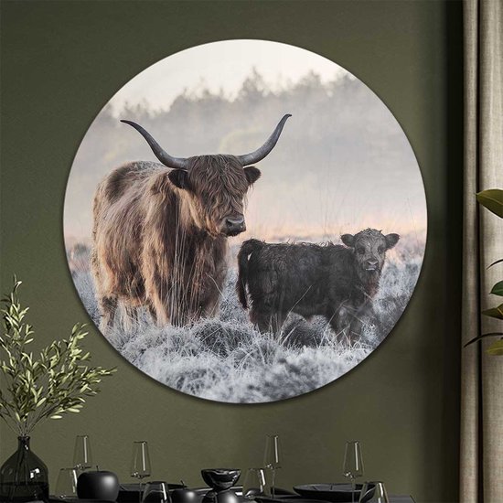 Cercle mural Highlander écossais avec veau dans un paysage hivernal | Forex | Ø 100cm | Système de suspension inclus