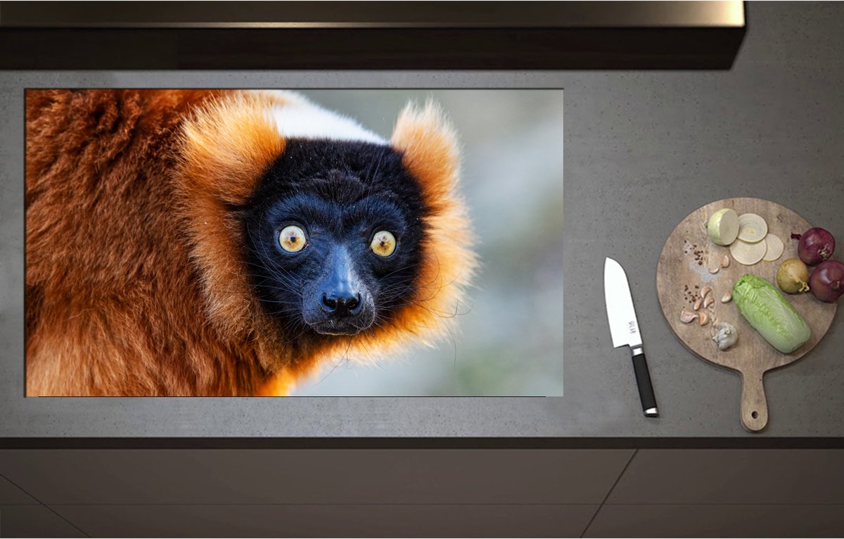 Inductieplaat Beschermer - Aankijkende Rode Ruffed Maki Aap met Grote Felgele Ogen - 95x55 cm - 2 mm Dik - Inductie Beschermer - Bescherming Inductiekookplaat - Kookplaat Beschermer van Zwart Vinyl