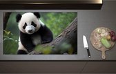 Inductieplaat Beschermer - Aankijkende Panda op Boomstam in het Bos - 95x55 cm - 2 mm Dik - Inductie Beschermer - Bescherming Inductiekookplaat - Kookplaat Beschermer van Zwart Vinyl