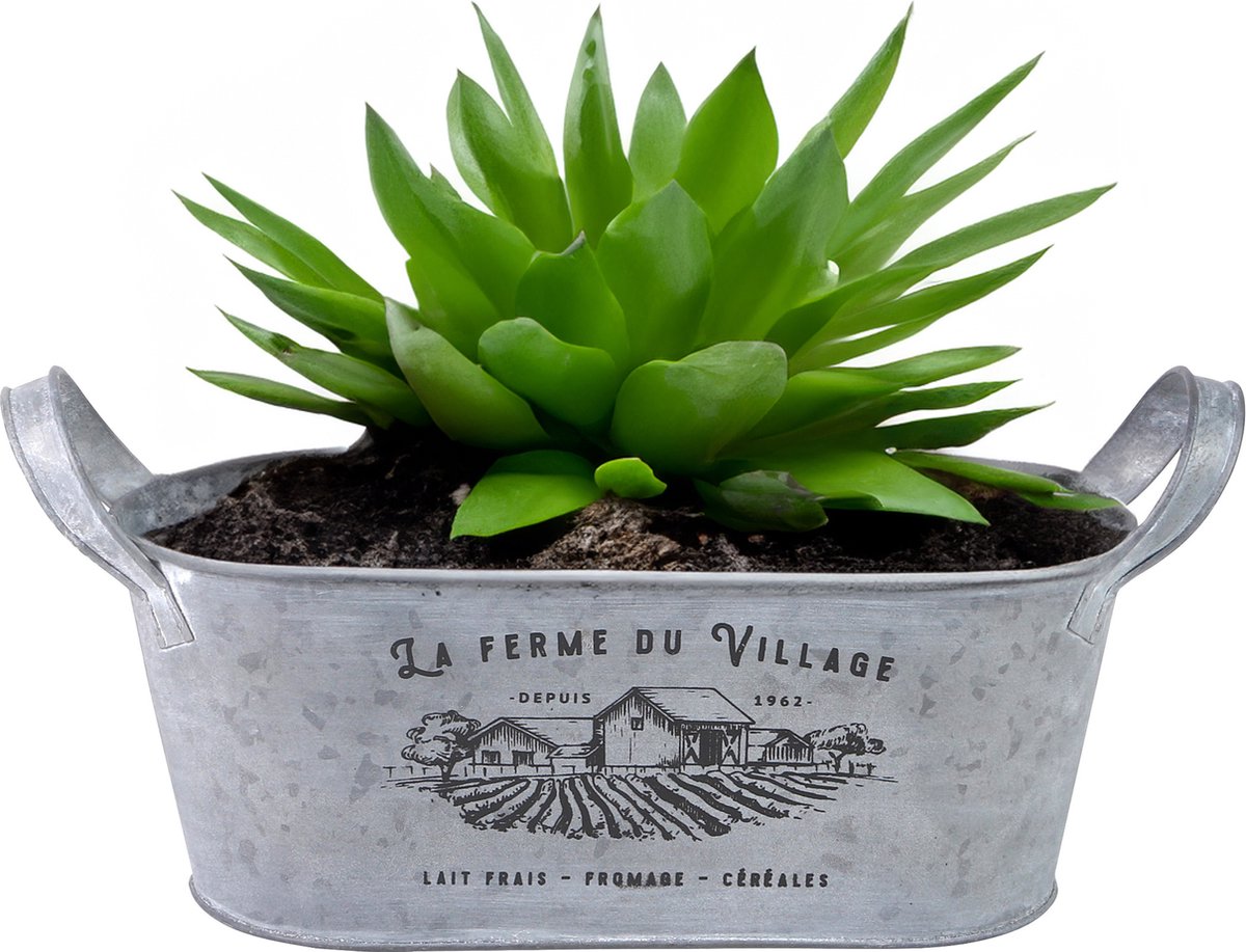 Goedkoopste Sunnydays Teil/plantenpot/bloempot - zink - zilver - L31 x D12 x H13 cm