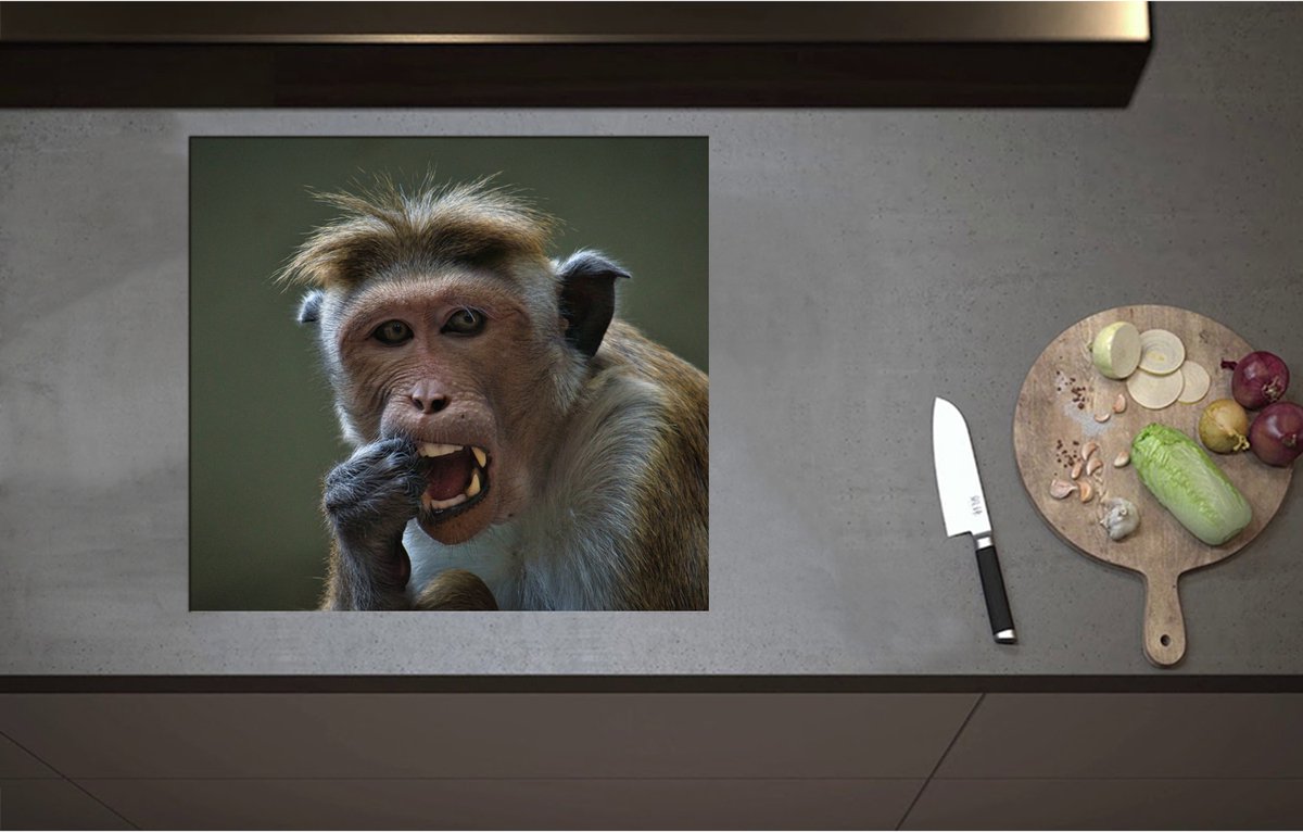 Inductieplaat Beschermer - Aankijkende Resus Aap aan het Eten - 60x55 cm - 2 mm Dik - Inductie Beschermer - Bescherming Inductiekookplaat - Kookplaat Beschermer van Zwart Vinyl