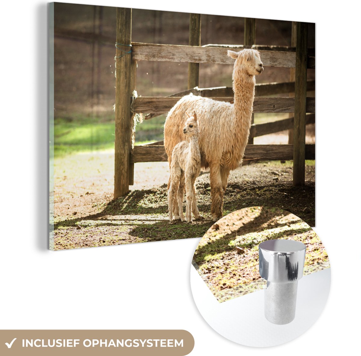 ® Glasschilderij 90x60 cm - Schilderij acrylglas - Alpaca - Baby - Mama - Foto op glas - Muurdecoratie woonkamer - Wanddecoratie slaapkamer - Schilderijen