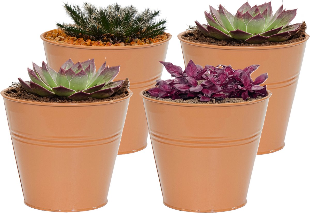 Goedkoopste Mega Collections plantenpot/bloempot Bob - 4x - zink - terra - D11 X H10 cm