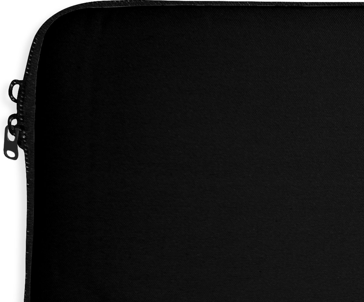 Laptophoes 17 inch - IJsvogel - Tak - Veren - Zwart - Laptop sleeve - Binnenmaat 42,5x30 cm - Zwarte achterkant