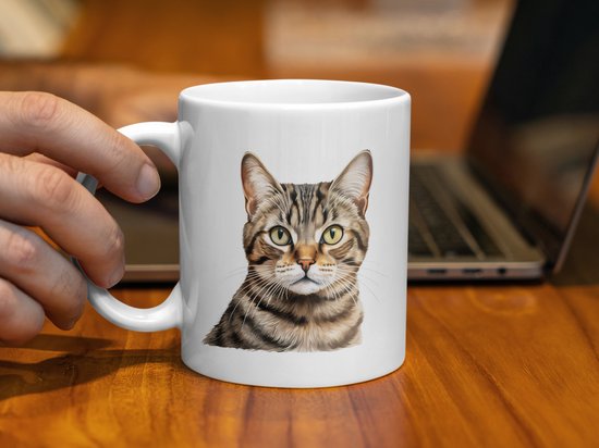 Mok Brazilian Shorthair cat - kat - I love my cat - cat lovers - katten