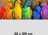 Allernieuwste.nl® Canvas Schilderij Kleurrijke Papegaaien - Kunst aan je Muur - Modern Graffiti - kleur - 50 x 100 cm