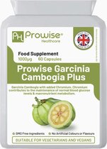 Garcinia Cambogia 500 mg capsules gewichtsverlies Vetverbranding en Cellulitis / Voor Vrouwen & Mannen afslanken dieet product