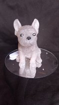 starwolf, beeldje bulldog pup, bruin, decoratie, beeldje, geschenk