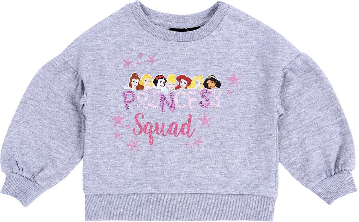 Grijs PRINCESS DISNEY sweatshirt