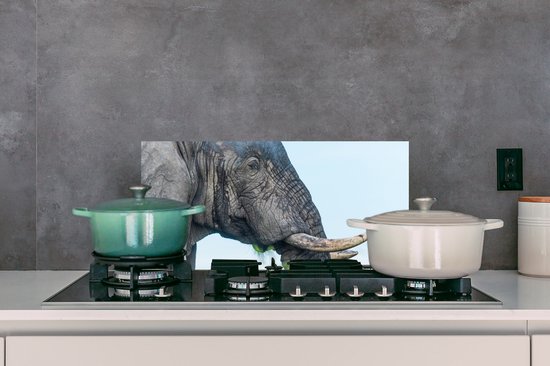 Spatscherm keuken 70x30 cm - Kookplaat achterwand Olifant - Dieren - Grijs - Natuur - Muurbeschermer - Spatwand fornuis - Hoogwaardig aluminium