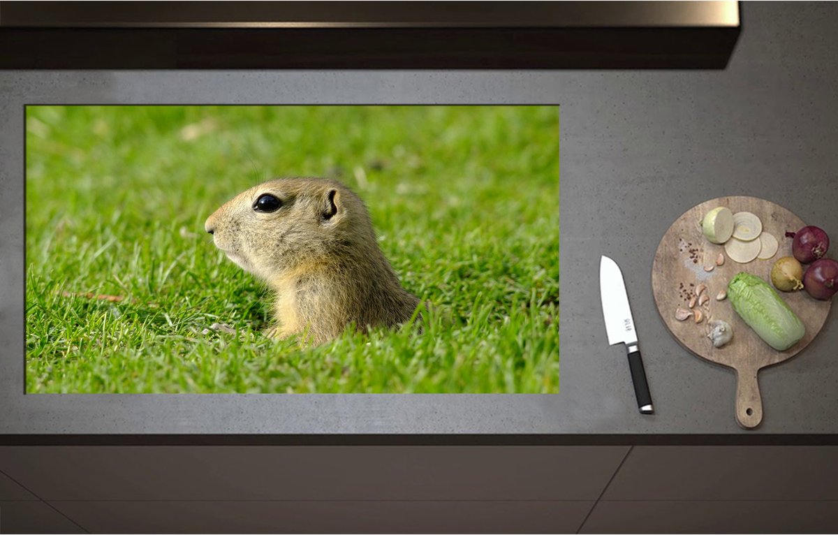 Inductieplaat Beschermer - Baby Goffer Komt uit de Grond - 95x52 cm - 2 mm Dik - Inductie Beschermer - Bescherming Inductiekookplaat - Kookplaat Beschermer van Zwart Vinyl