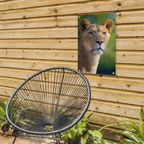 Poster Jardin jeune lionne 40x60 cm - petit - Toile de jardin / Toile d'extérieur / Peintures d'extérieur (décoration de jardin)