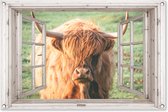 Tuinposter Schotse hooglander - Doorkijk - Raam - Dier - 90x60 cm - Tuindoek - Buitenposter