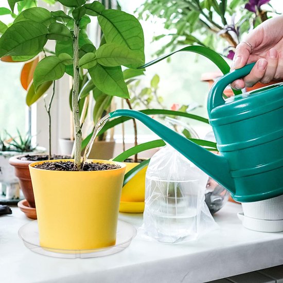 12 stuks doorzichtige plastic plantenschotels (10 inch) druppelbakken plantenbord schotel voor binnen plantenbakken bloempotten, bulk