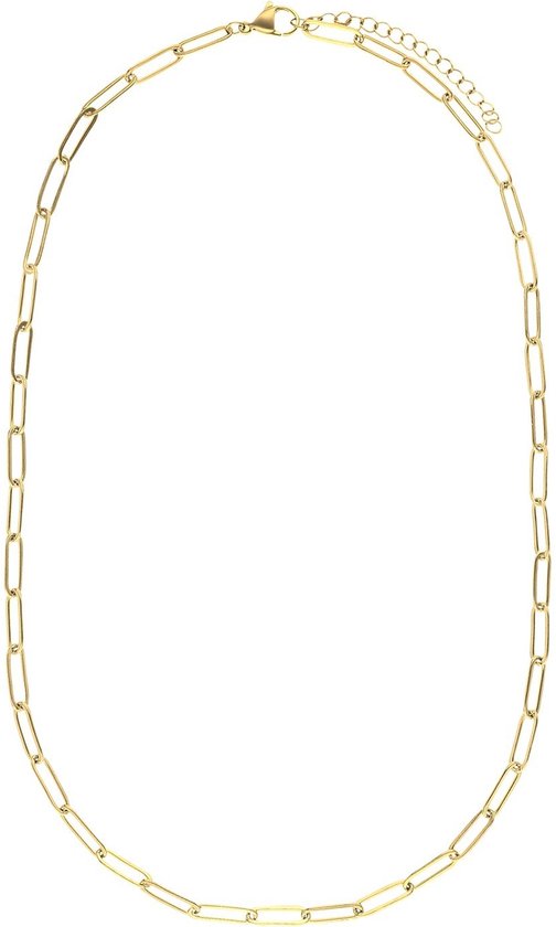 Lucardi Dames Stalen goldplated ketting closed forever 4mm - Ketting - Staal - Goud - 65 cm